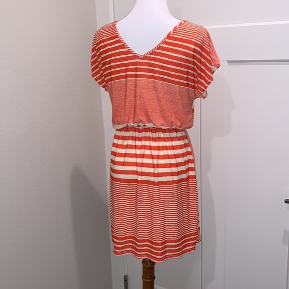 Pink Rose Striped Dress - Picture 6 of 12